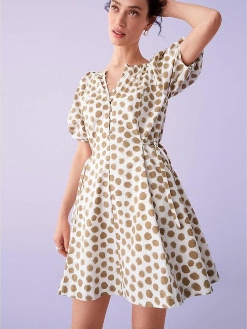LOFT Puff Sleeve Fit and Flare Dress